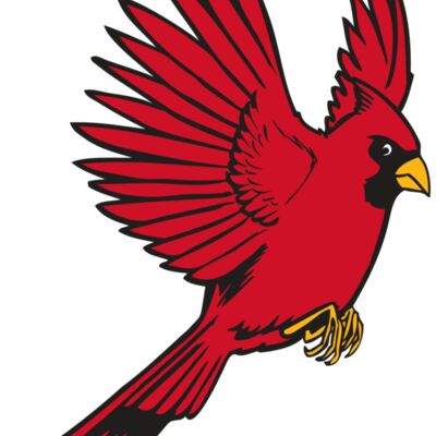 BAW CARDINAL 19 RC Thumbnail