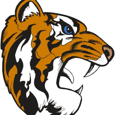 BAW TIGER 08 RC Thumbnail