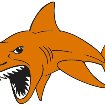 AR  SHARK 20 RC Thumbnail