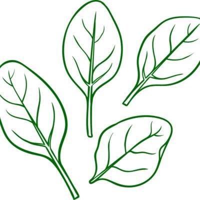 Spinach Thumbnail