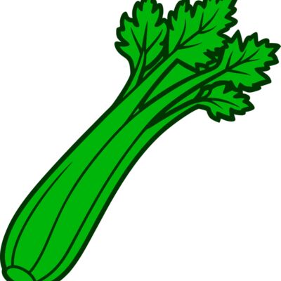 Celery Thumbnail